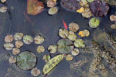 《星刃》4月26日发售登陆PS5 新中文宣传片公开